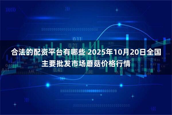 合法的配资平台有哪些 2025年10月20日全国主要批发市场蘑菇价格行情