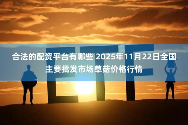 合法的配资平台有哪些 2025年11月22日全国主要批发市场草菇价格行情